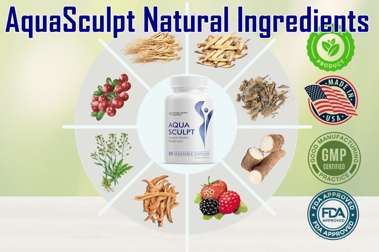 AquaSculpt Ingredients